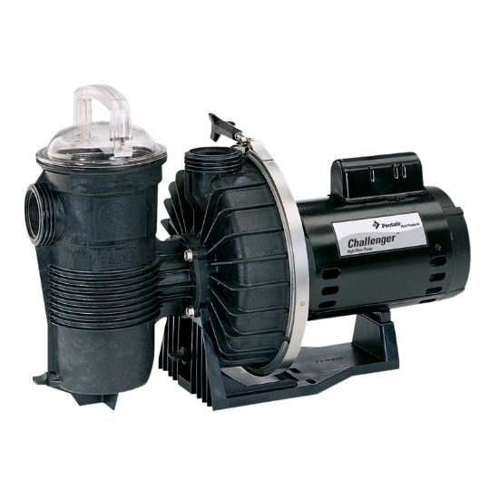 2 HP 230 V Challenger High Flow Pump Full Rated Nsf Listed Pentair Ig 2IN Fpt Cfii - N1 - 2F - 342248