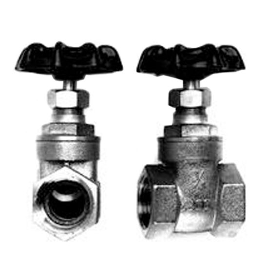 American Granby Inc 2.5-Inch Fpt Brass Gate Valve - GV200-250T