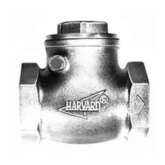 American Granby Inc 2-Inch Fpt Brass Swing Check Valve - HSCV200T
