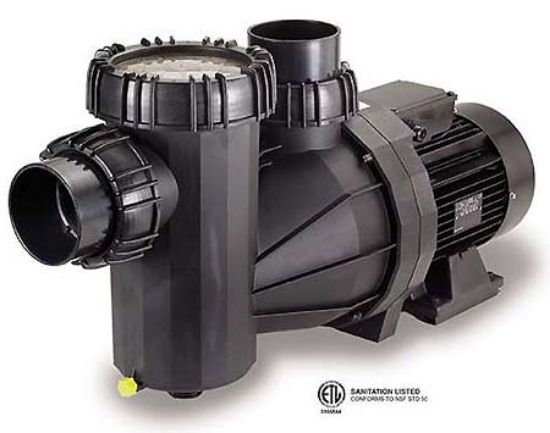 Speck Swimming Pool Pump 7 1/2 Horse P Ower 230 V 460 V Model 95X Commercial Pump 3 Ph Tefc Ig 4-Inch Skt Unions Speck 208 V 95X - 2195378007