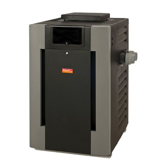 9201 266K BTU MILLIVOLT PROP IN / OUTDOOR HEATER IG POLYMER HEADERS W/ COPPER TUBES W/ DIGITAL