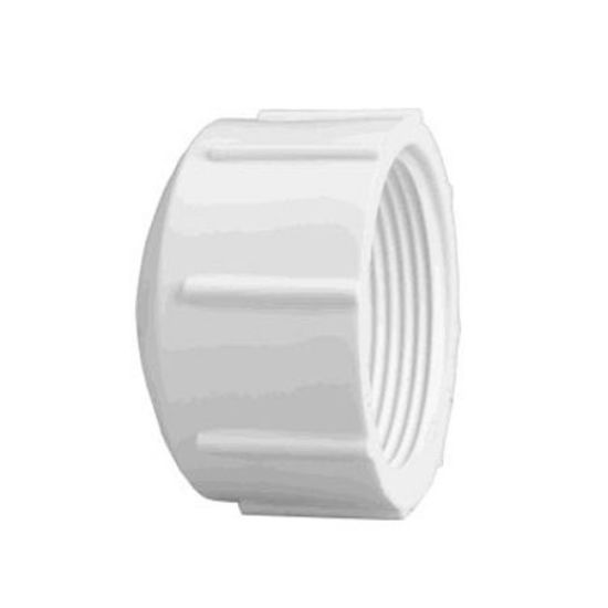 Lasco Fittings Inc 2-Inch Fpt Cap Schedule 40 - 448-020