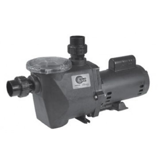2 HP 230 V 2 Speed Econo Flo Pump Full Rated Ig 2-Inch Slip Unions Waterway - ECONO-220
