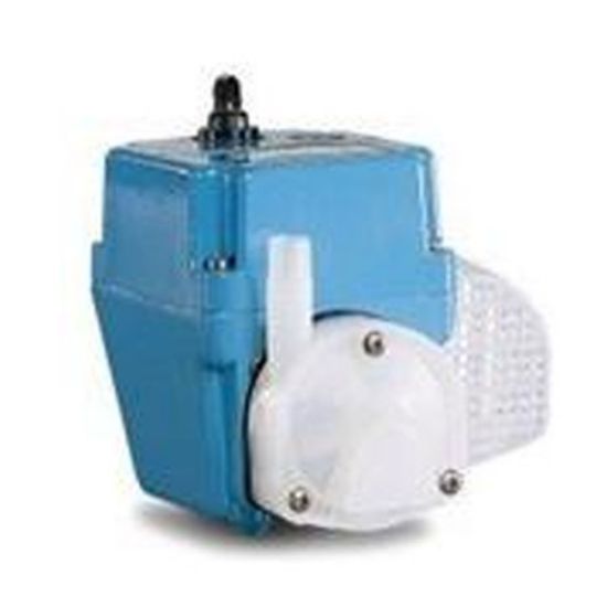 Franklin Electric Co. Inc. 300 Gph 115 V Pump 6' Cord 2EN .25-Inch Mpt Little Giant - 502103