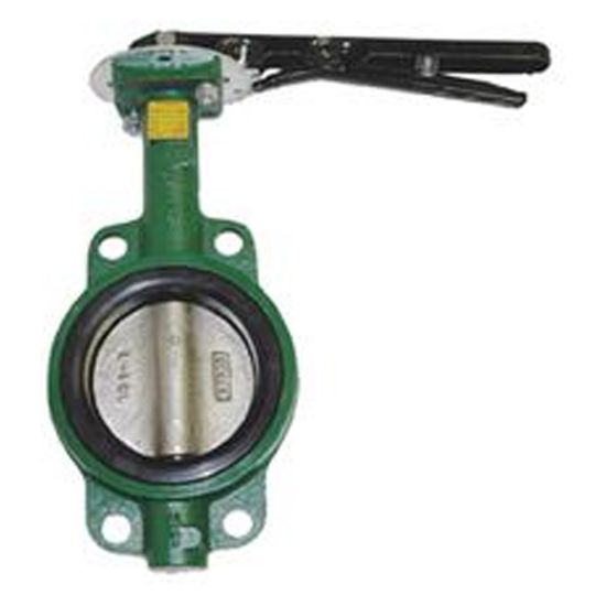 American Granby Inc 2-Inch Cast Iron Butterfly Valve - HBFV2