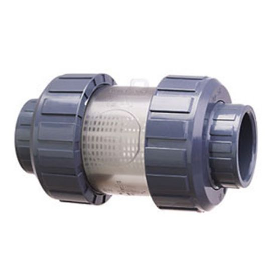 Praher Plastics Canada Ltd. 2-Inch Skt True Union Inline Strainer PVC S4 Series Praher - 120-563