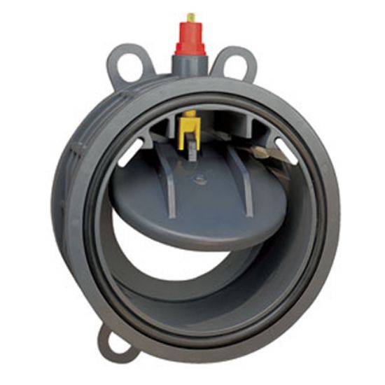 Praher Plastics Canada Ltd. 4-Inch Swing Check Valve Praher