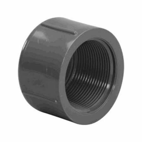 Lasco Fittings Inc .25-Inch Fpt Cap Schedule 80 Gray - 848-002