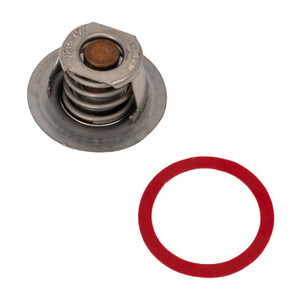 Raypak Unitherm Governor Kit, 019062F