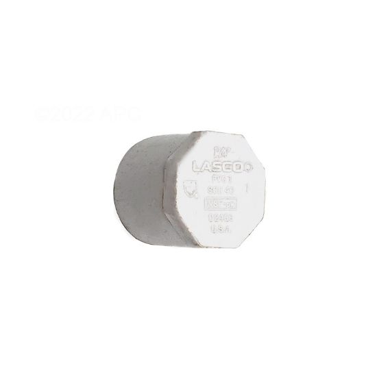 Lasco Fittings INC 2.5In Spigot Plug Schedule 40 - 449-025