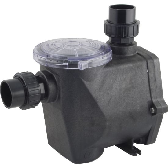 Waterway .5 HP Champion Wet End Assembl 2IN FPT Intake And Discharge - 310-3020