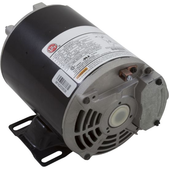 Nidec 3/4HP Thru Bolt Spa & A/g Pool 1.00 Sf 230 Volt Motor - AGH75FL1