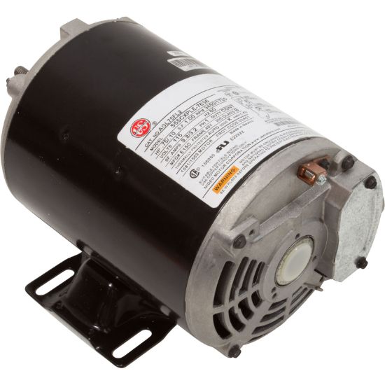 Nidec 3/4 HP Through Bolt Spa and Above-Ground Pool 1.00 SF 2-Speed 115V Motor - EZBN36