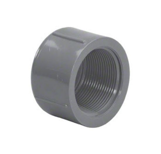 LASCO 2.5IN Fpt Cap Schedule 80 Gray - 848-025