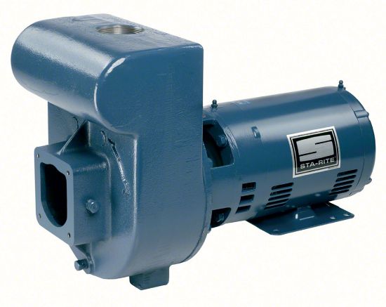 Pentair 5 HP 230V D Series Medium Head Pump Commercial In-ground 2-Inch FPT High Performance Cast Iron Single-Phase NSF Listed Sta-Rite - DHJ-170