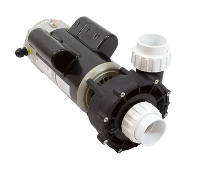 1.5 HP LX Spa Pump 1 Speed 115V 48WUA1501C-I No Frame