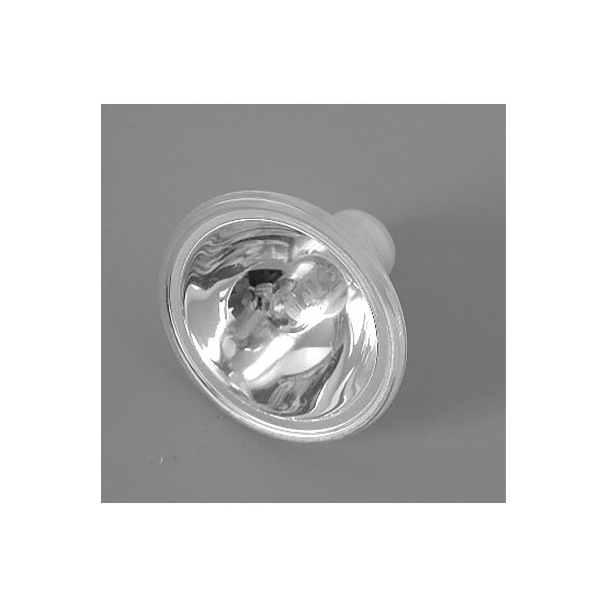 Dynasty Bulb 10372