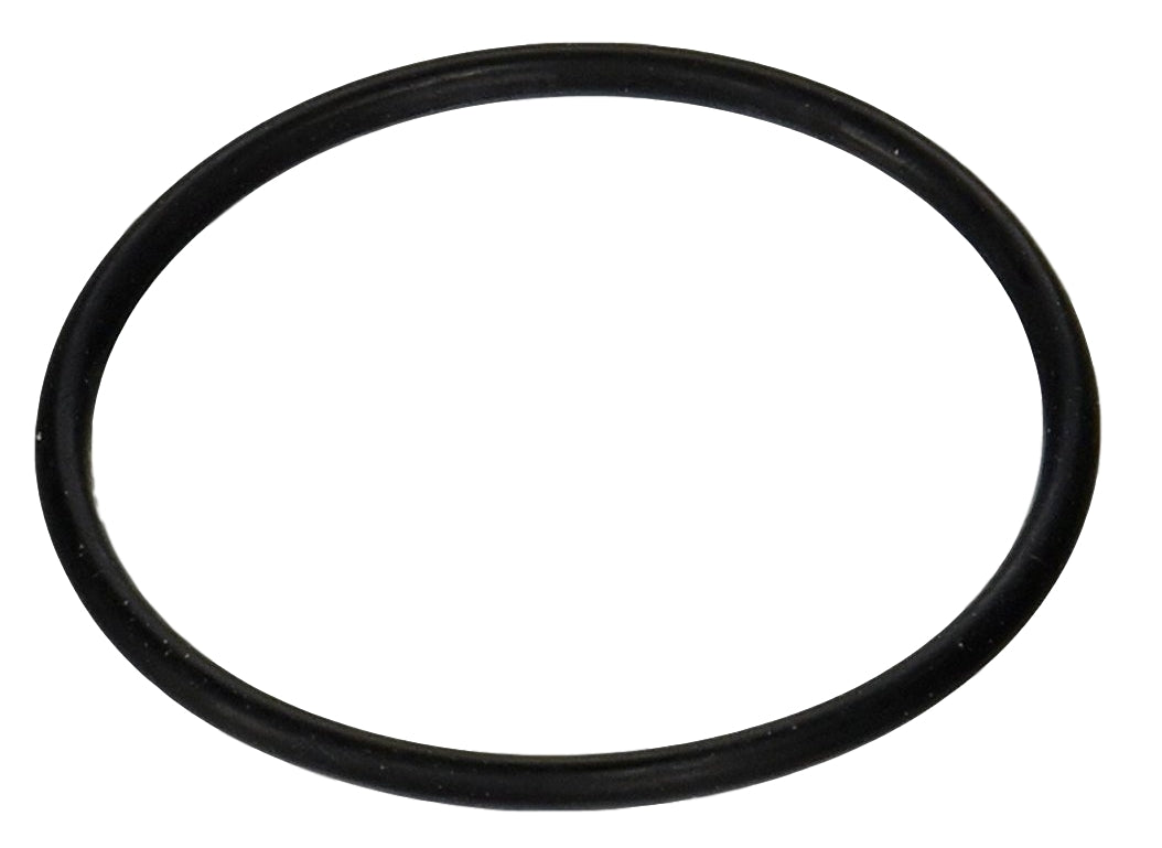 Jandy R0558701 Diffuser O-Ring for Zodiac JHP & PHP Pump Series