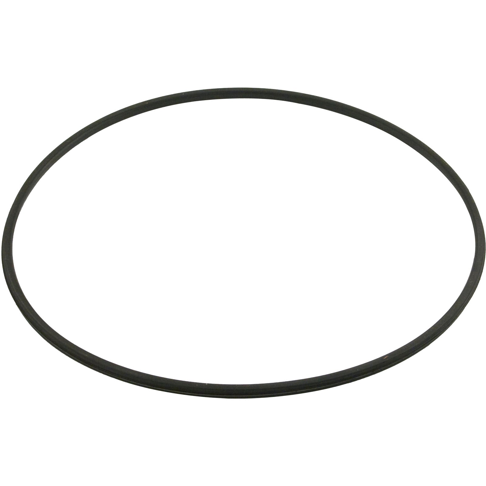 Gasket, Hayward Swimclear,Tank Lid,19-13/16"ID, 20-11/16"OD
