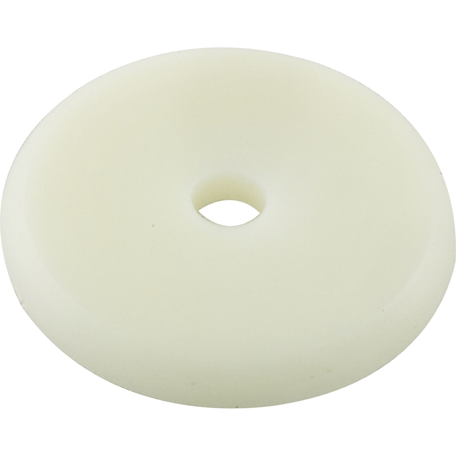 Washer, Pentair Sch 40/Return Line Check Valve, White : 072471