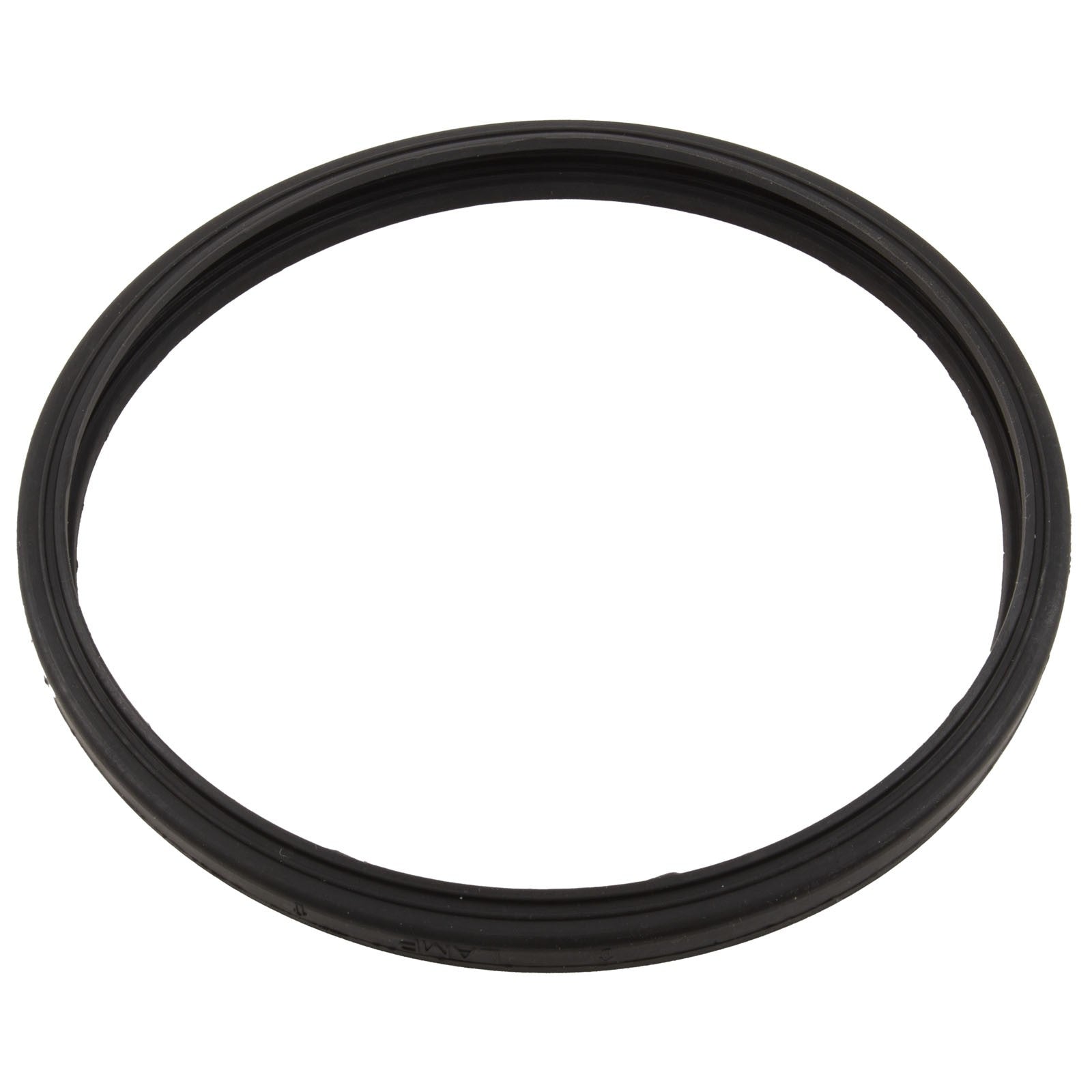 Gasket, Sta-Rite Sunbrite/Sunglow, Light Lens : 05501-0005Z