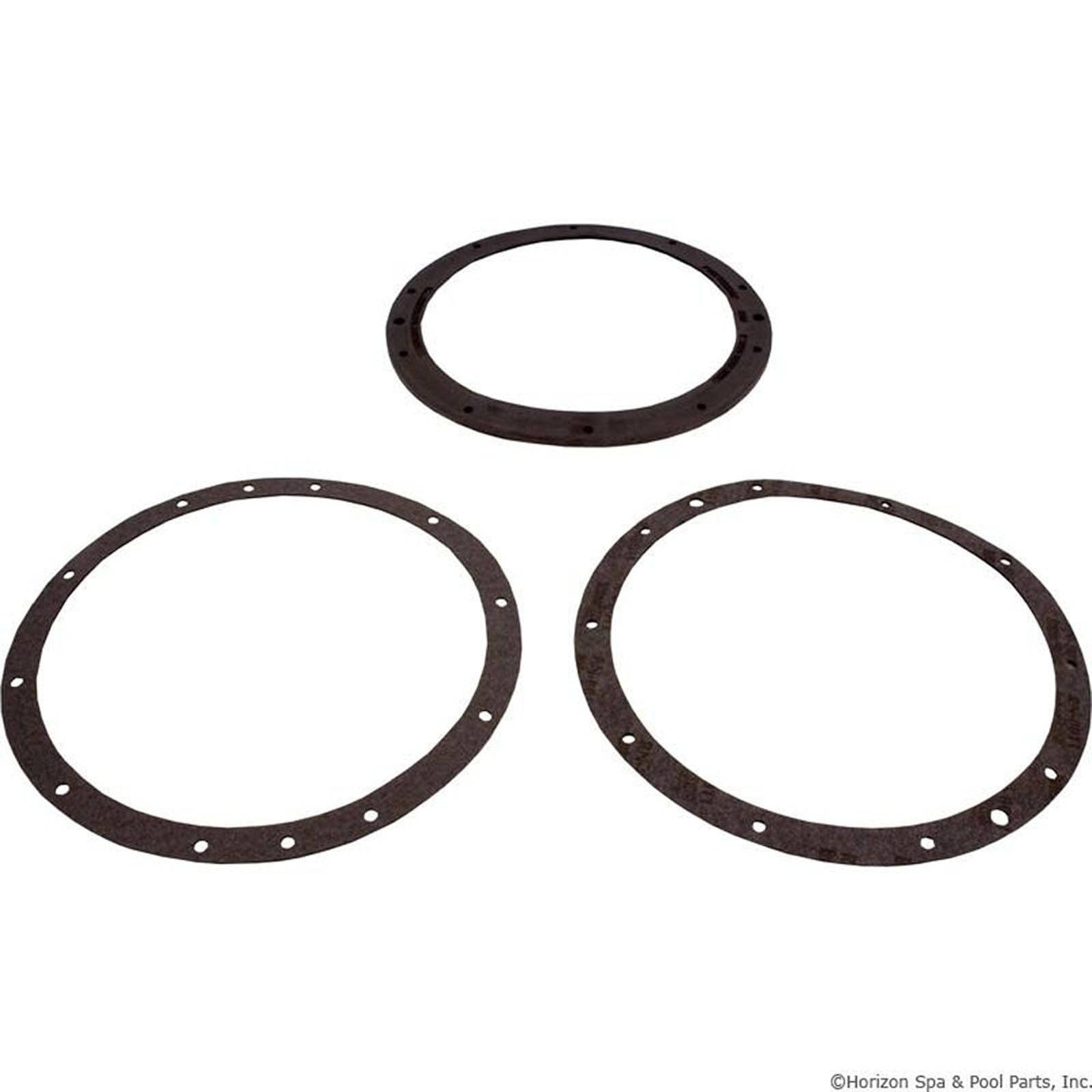 Niche Gskt Kit, PentairAmerlite, 10-Hole, Vinyl, w/Dbl Wall Gskt : 79200700