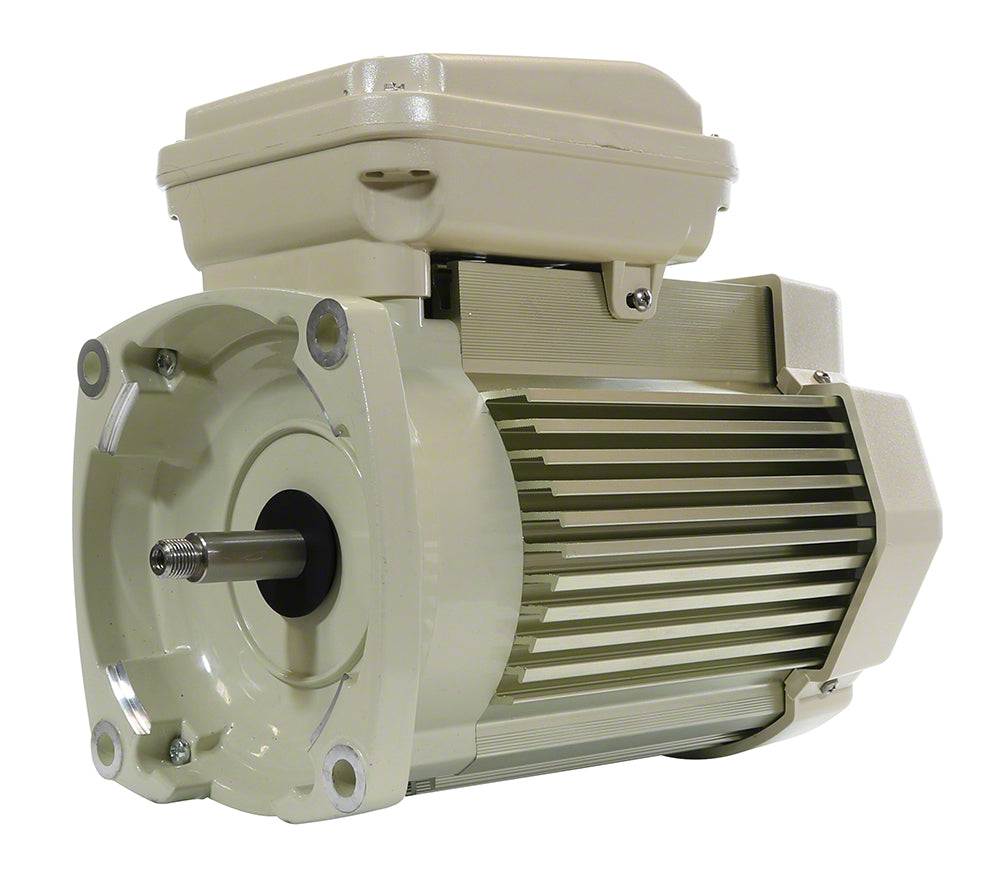 3 HP Pump Motor Square Flange - 3-Phase 208-230/460 Volts - TEFC Super Duty - Almond