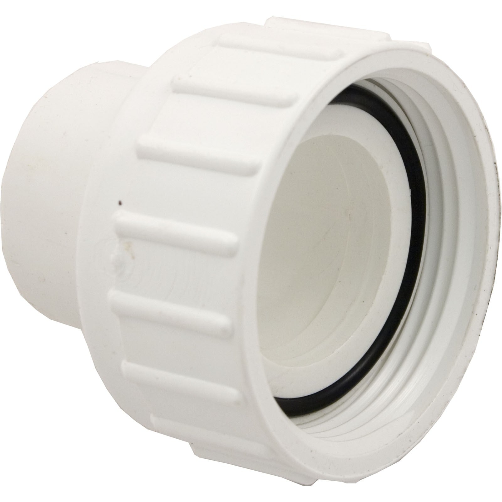 Pump Union, 1-1/2" Female Buttress Thread x 1-1/2" Spigot : 400-4240