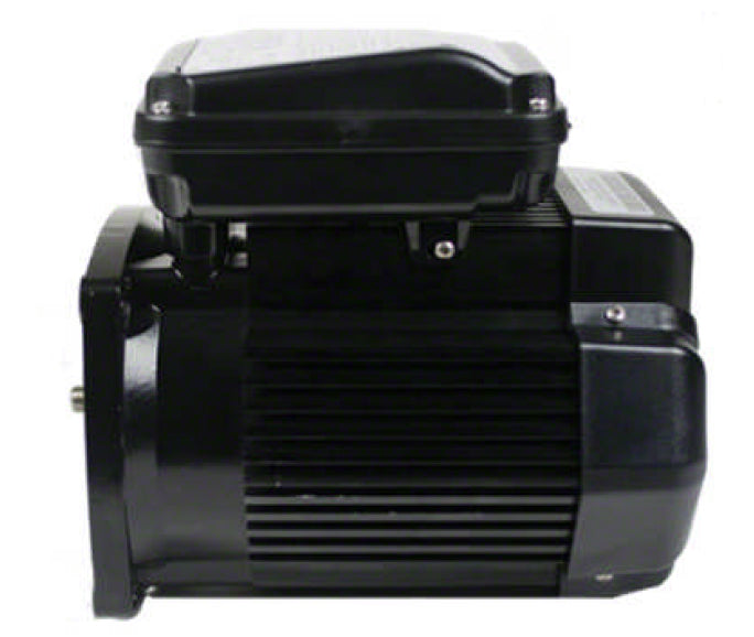 3 HP Pump Motor Square Flange - 3-Phase 208-230/460 Volts 60 Hz - TEFC Super Duty - Black