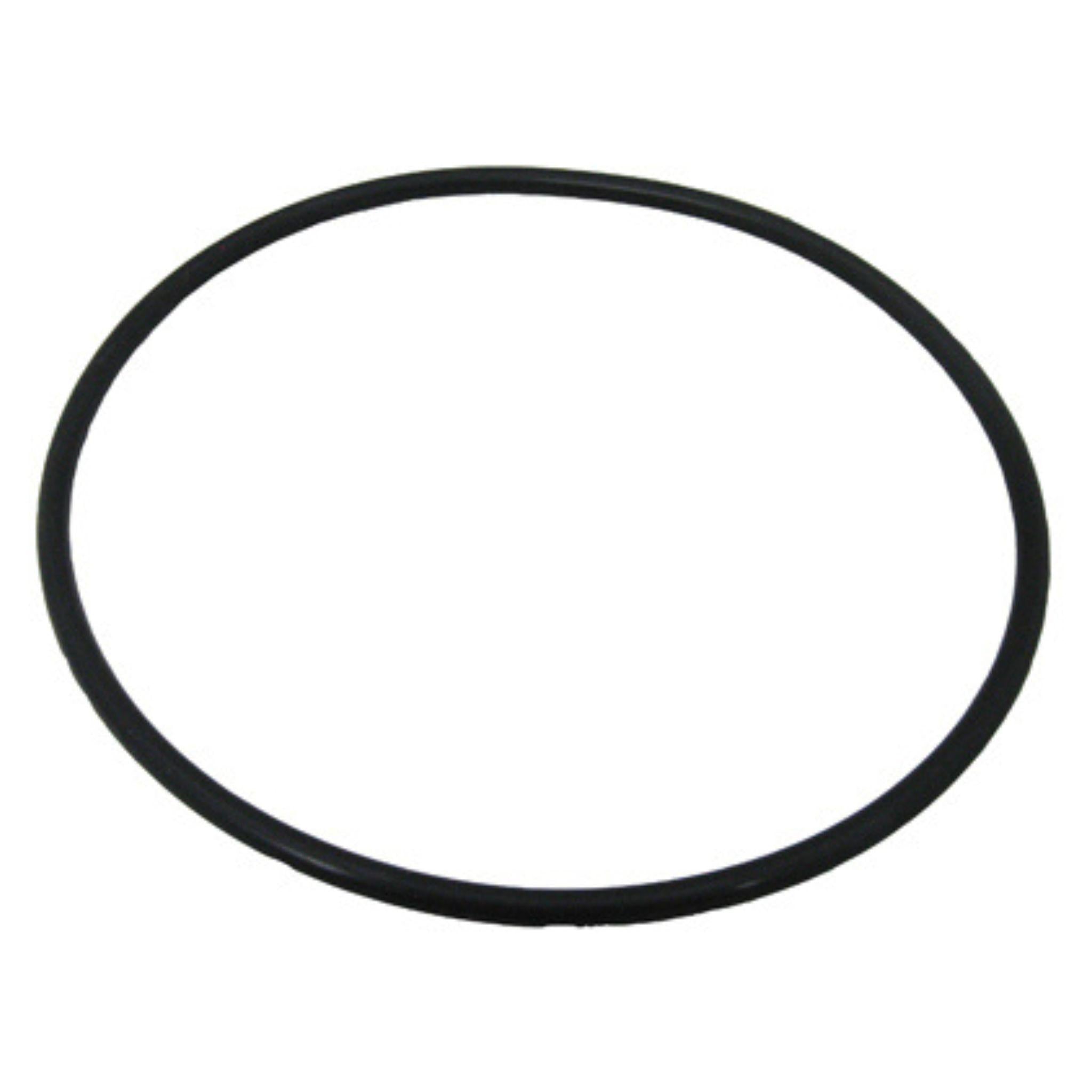 #2 - King Technology Pool Frog 01-22-9920 Cap O'Ring