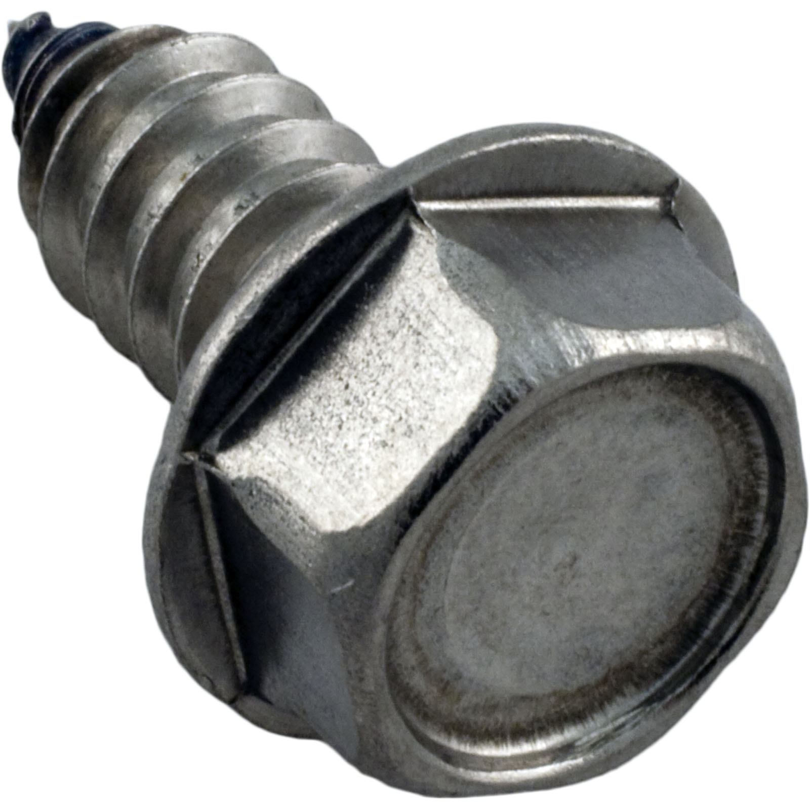 Screw, Pentair Sta-Rite, 5/16-14 x 5/8″ | U30-919SS