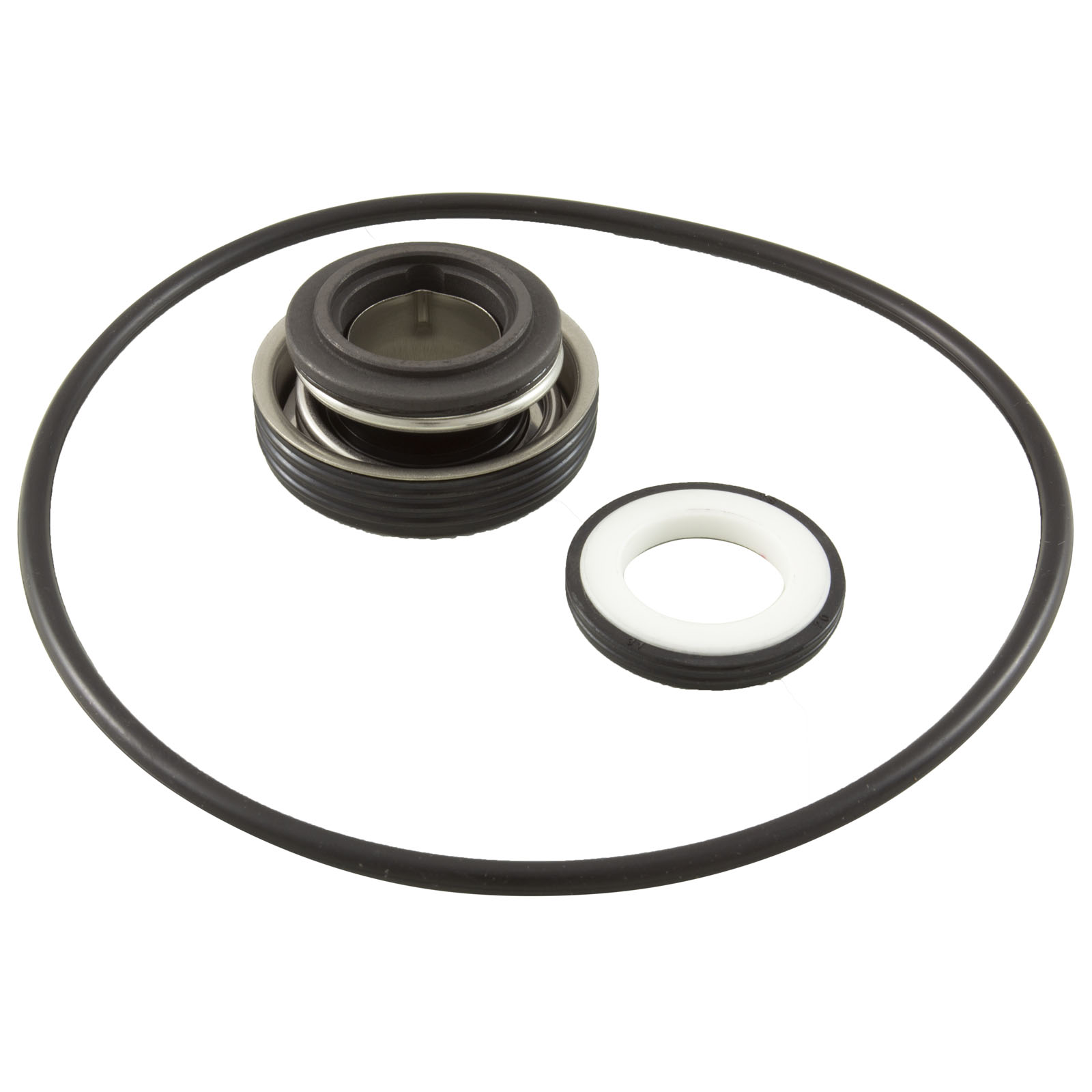Mechanical Seal, Raypak Protege RPAGP, With O-Ring | 018227F