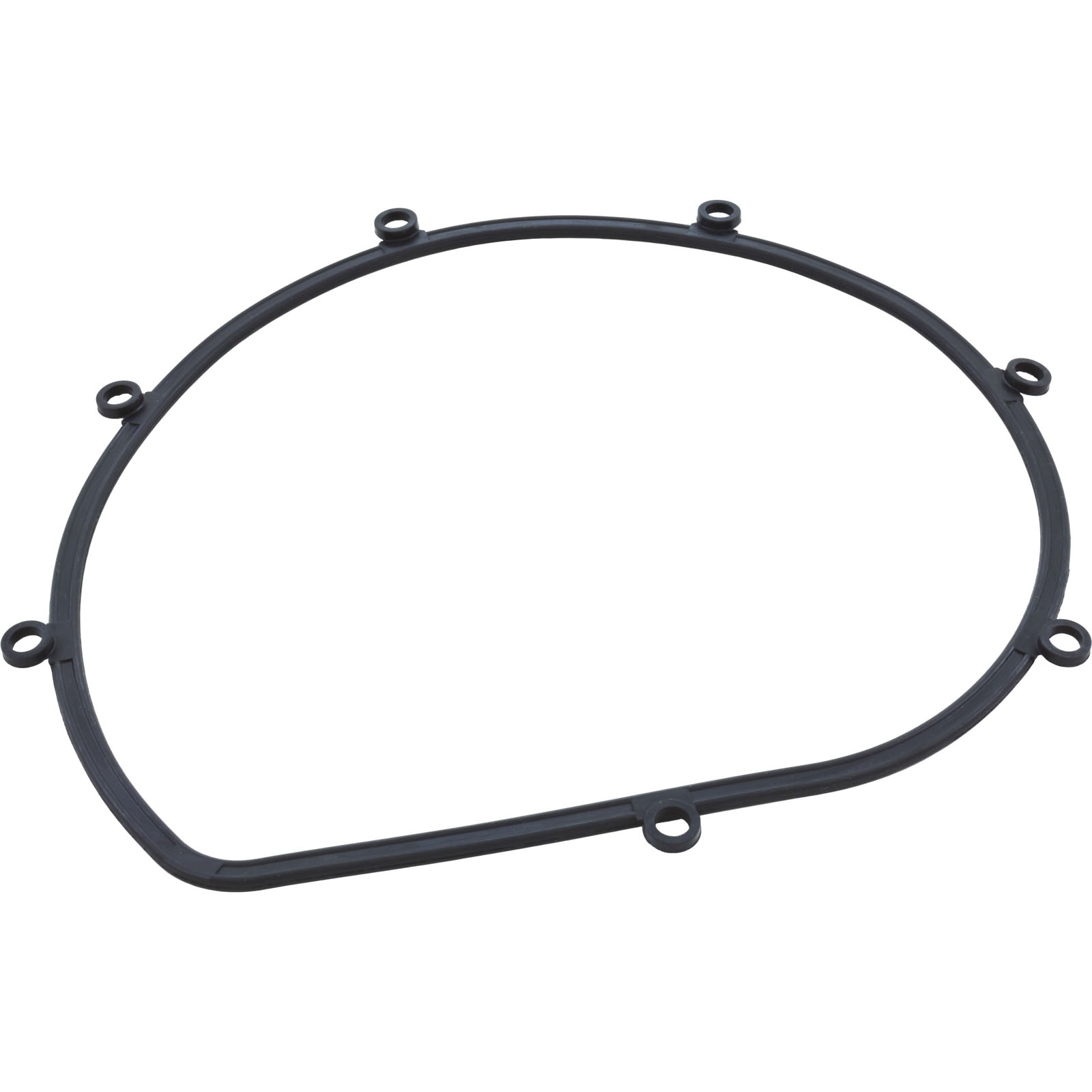 Gasket, Speck 21-80 All Models, Seal Plate | 2923141010