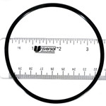 Pentair Pump Diffuser 1/8" x 3-3/8" O-Ring, 355227Z