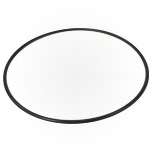 Pentair Seal Plate O-Ring, 355619