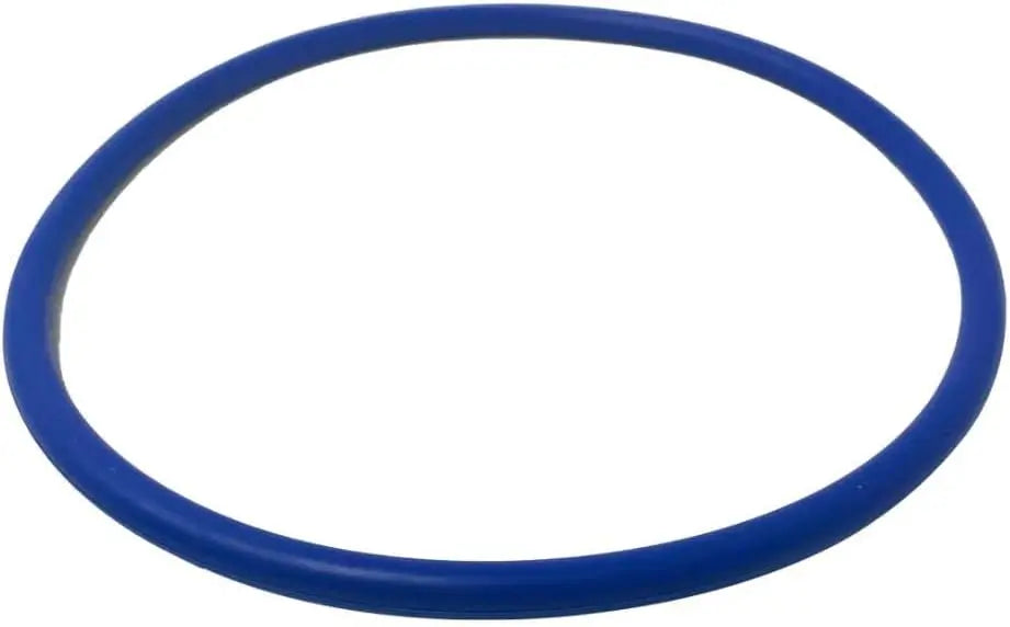 Pentair | 356189z | O-Ring – Replacement Seal for IntelliFlo3 & IntelliPro3 VSF Pool Pumps