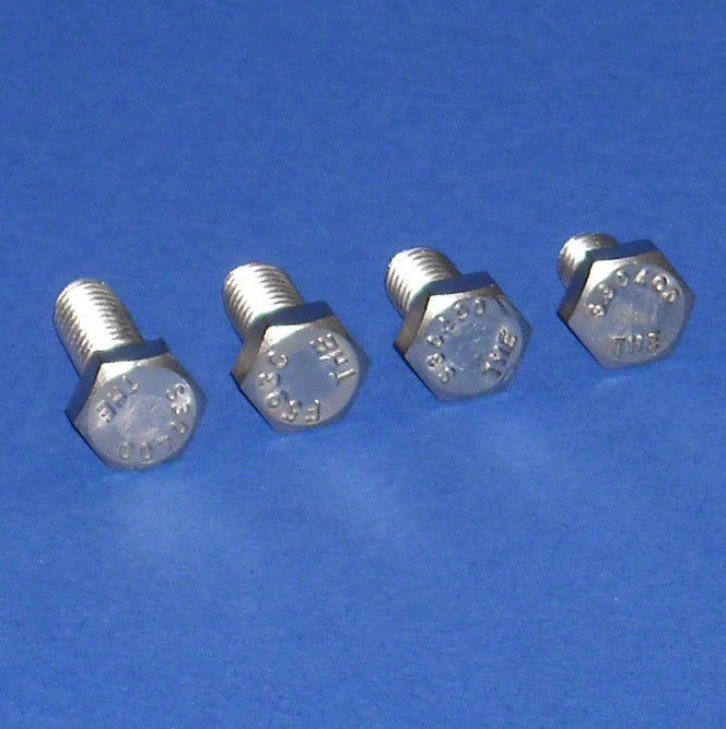 Guardrail Clamp Attachment Bolt - 5/16 x 7/8 Inch - Stainless Steel