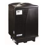 Pentair UltraTemp 120R H/C Heat Pump 127/71K BTU 460965 Black