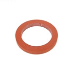 Pentair Minimax Rubber Seal, 470742