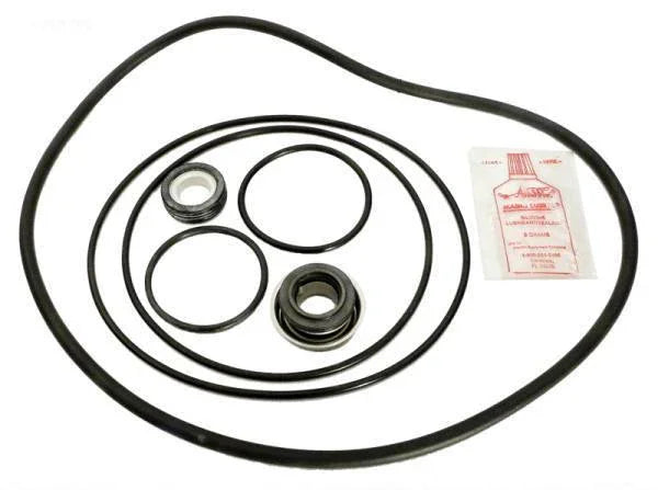 Pump Repair Kit w/Seals, O-Rings pre 1995