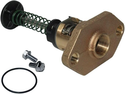 Raypak UG Bypass Assembly Kit 336-408, 018758F