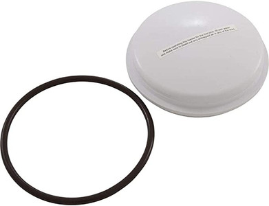 CMP PowerClean Mini Chlorinator Check Valve Assembly, 25280-000-920