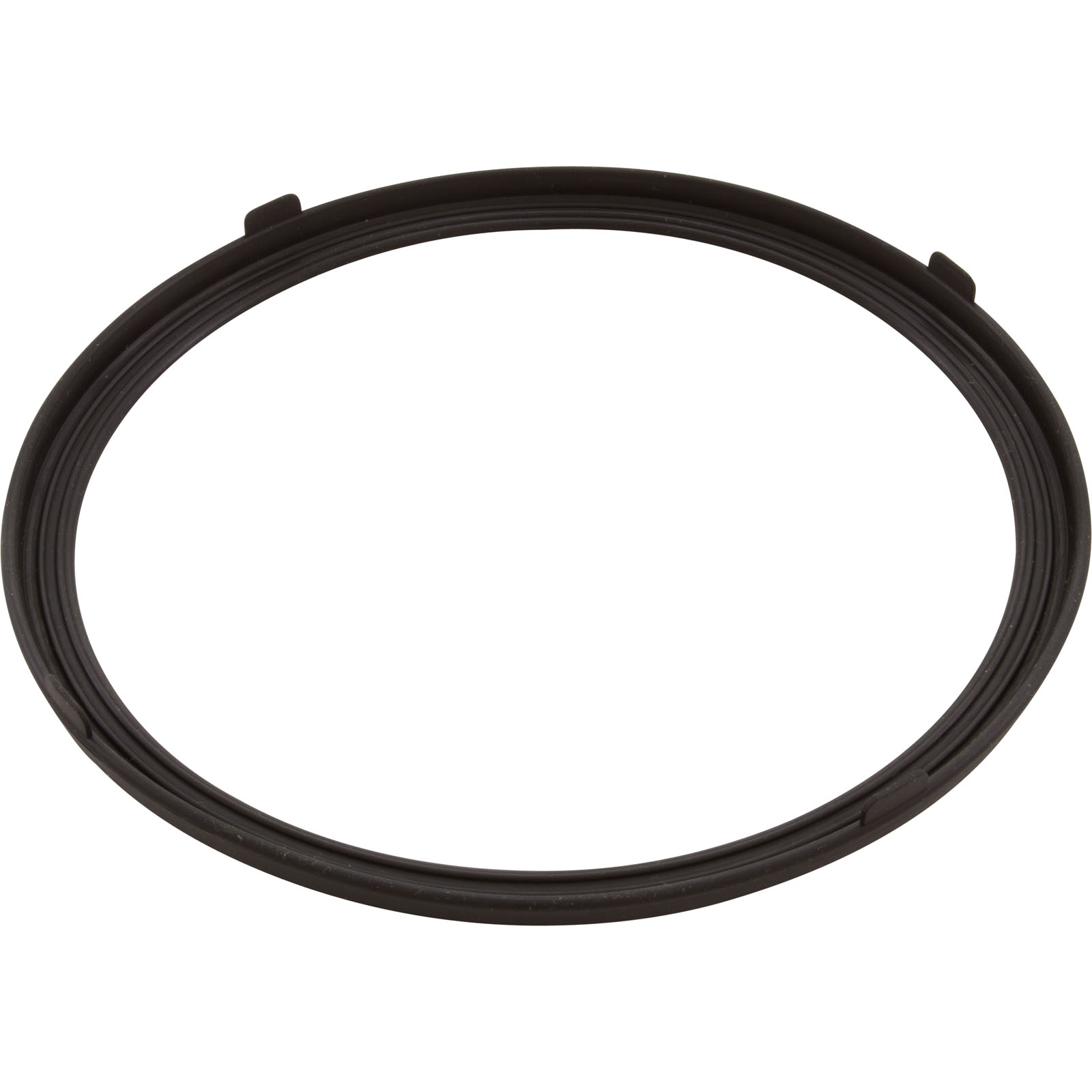 Gasket, Pentair AquaLumin III, Light Lens | 619599Z