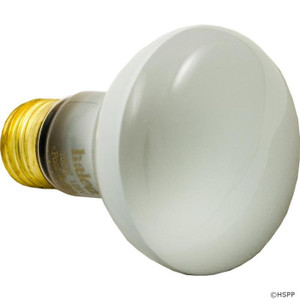 Hayward Incandescent Bulb 100W 120V, SPX0551Z4