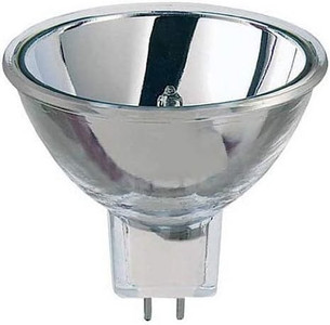 Pentair 250W 24V Light Bulb, 840040