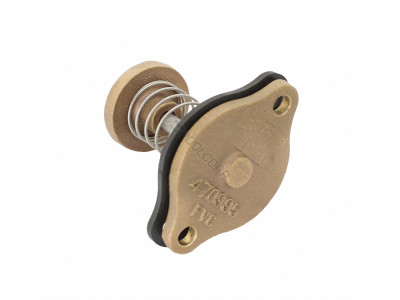 Pentair Flow Valve Assembly, 470747