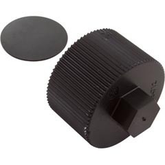 Pentair/Sta-Rite Drain Cap Assembly, Pentair Sta-Rite CristalFlo II, w/Gasket | 154712Z