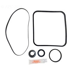 Generic SUPER PUMP REPAIR KIT | APCK1024