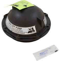 Pentair Tank Lid, Pentair PacFab Triton II, 6", w/ O-Ring, Black | 152519Z