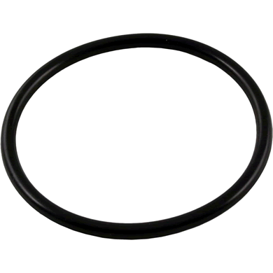 Waterway Bulkhead O-Ring For Crystal Water Filters